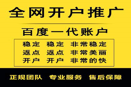 行业领先企业的SEM运营策略案例解析
